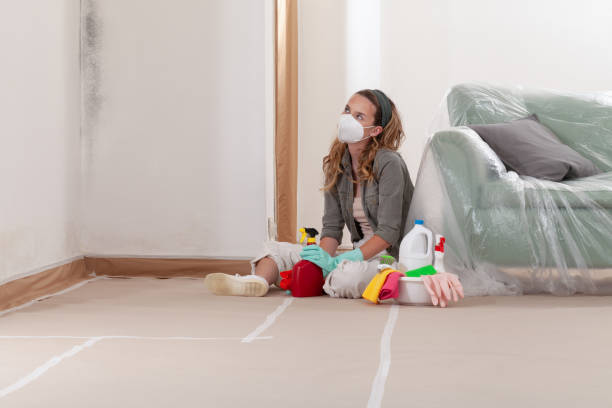 Reliable Crawl Space Mold Removal contractor in Minneapolis, MN by WQB Mold Removal